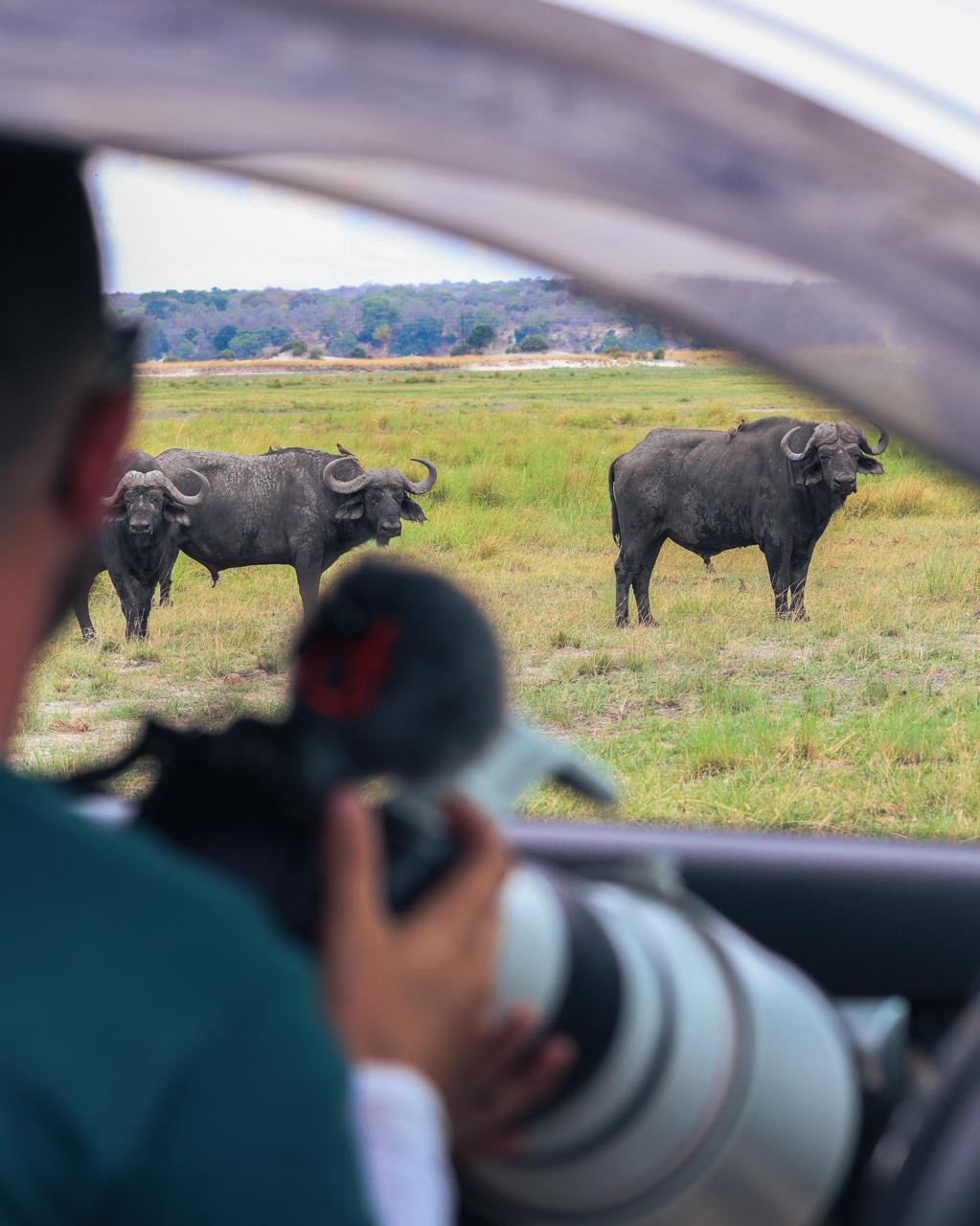 Kingdoms, Conservation & the Lowveld — image 4